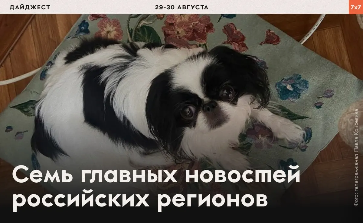 В выпуске — случаи давления на активистов, задержания и региональные запреты на благоустройство.