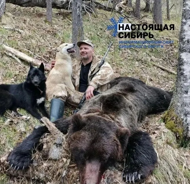 В Абазе жители создают патрули и применяют дроны и тепловизоры, чтобы защитить население от растущего нашествия медведей; ситуация получила всероссийский размах.