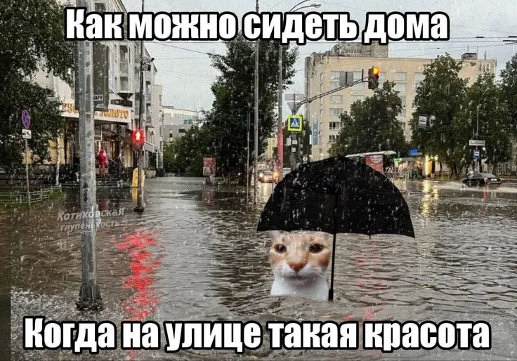 Синоптики и спасатели предупреждают о штормовой погоде в центральных и южных районах края: сильные дожди, грозы и шквалистый ветер.