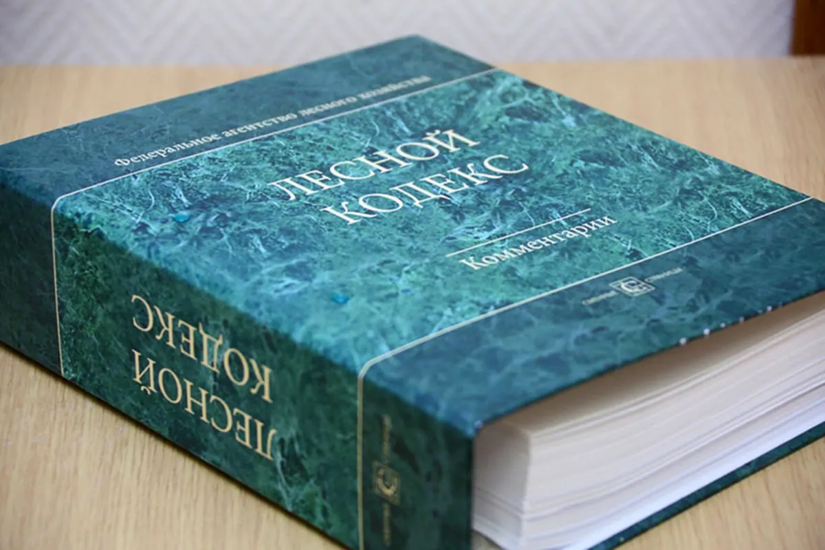 С момента принятия в 2006 году в Лесной кодекс внесли 79 наборов поправок; эксперт по лесному хозяйству считает, что документ устарел и требует полной замены с упрощением правил.
