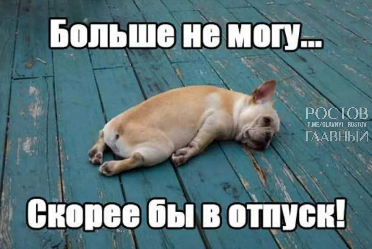 Госдума предложила повысить минимальную продолжительность отпуска с 28 до 35 дней, чтобы компенсировать входящие в отпуск выходные и снизить риск профессионального выгорания.