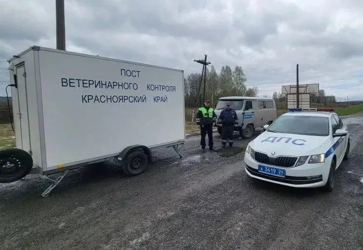 На въездах в Красноярский край ужесточили проверки машин из Кемеровской области из‑за риска ввоза инфицированных животных и мяса; в соседнем регионе объявили режим повышенной готовности.