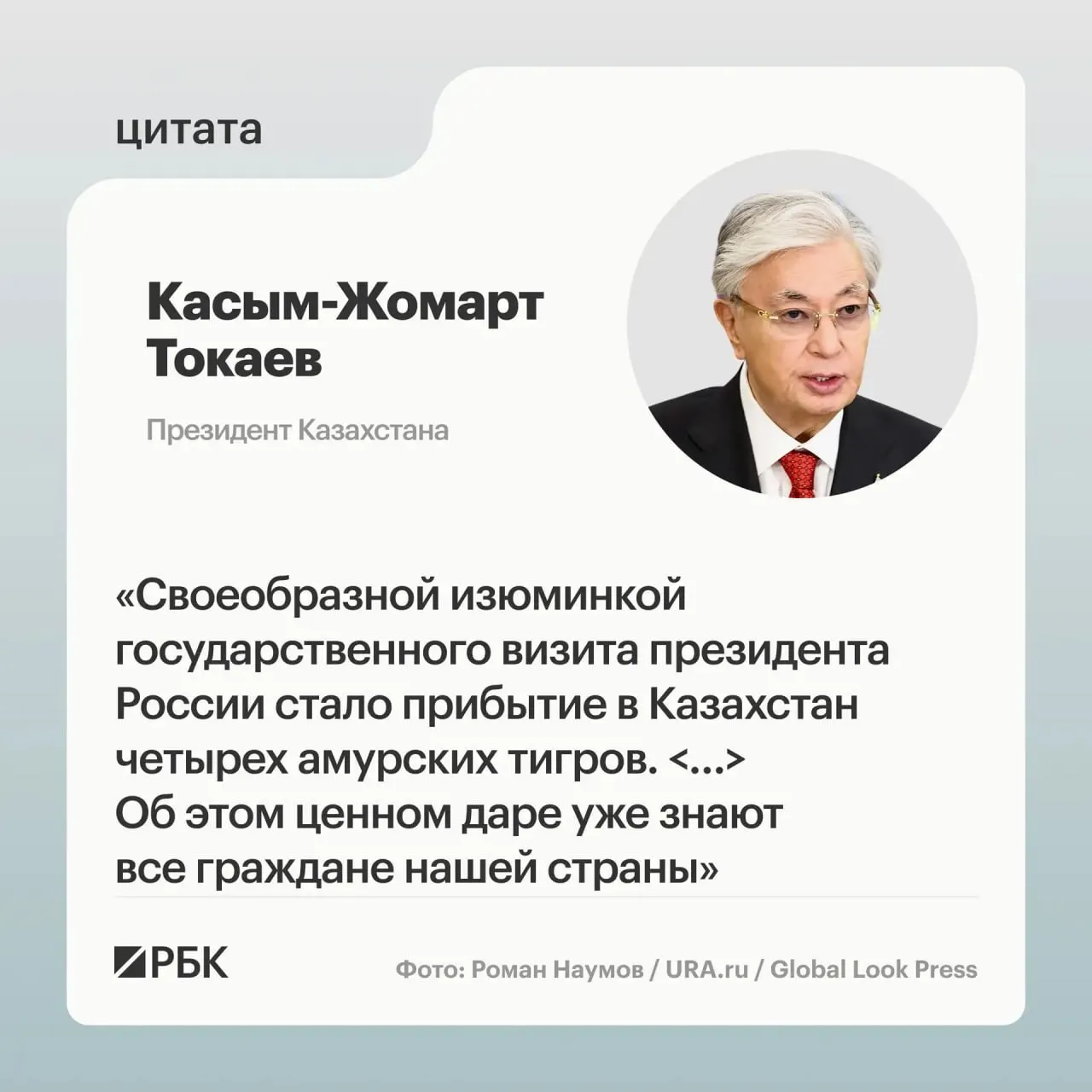 Семью амурских тигров передали Астане после просьбы Казахстана о помощи в восстановлении вида — животных показали президентам на презентации.