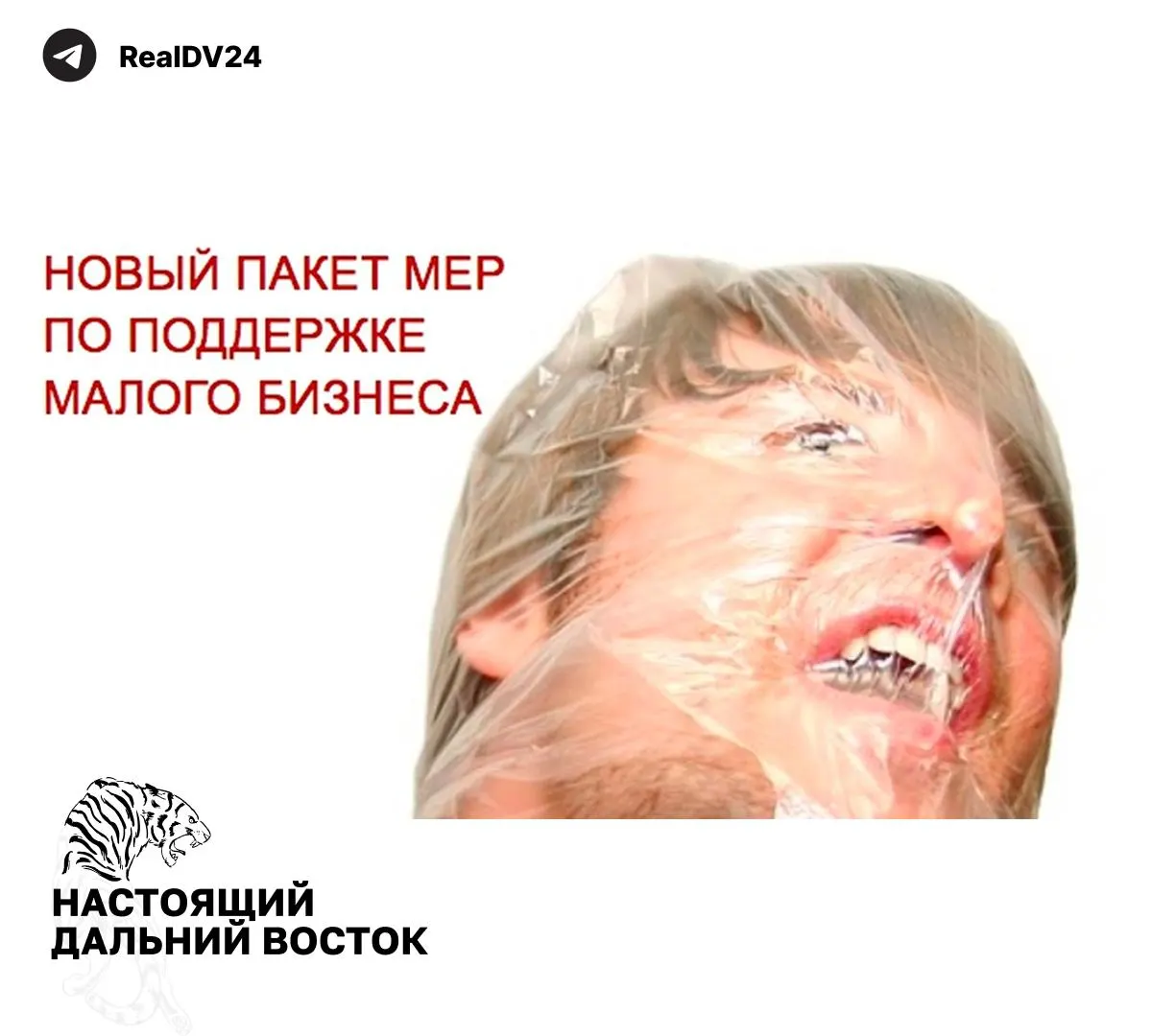 Федеральная налоговая служба направила регионам набор рекомендаций по увеличению налоговых поступлений — в числе предложений изменения в налогообложении недвижимости, транспорта и пересмотр льгот.