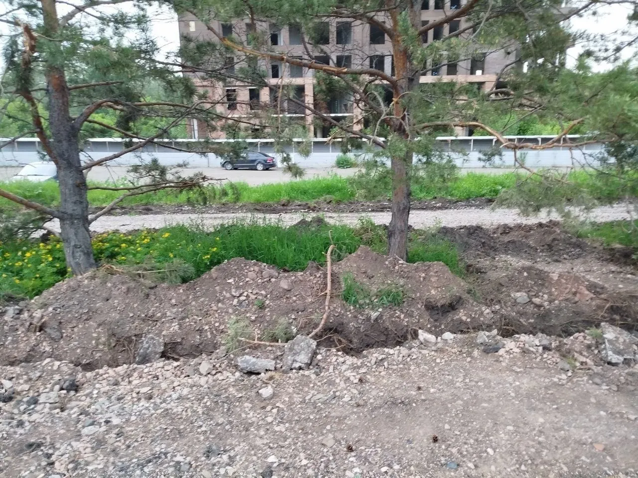 При благоустройстве набережной Качи рабочие проложили траншею прямо по корням деревьев. Подрядчика пообещали оштрафовать и обязать компенсировать посадками в случае гибели насаждений.