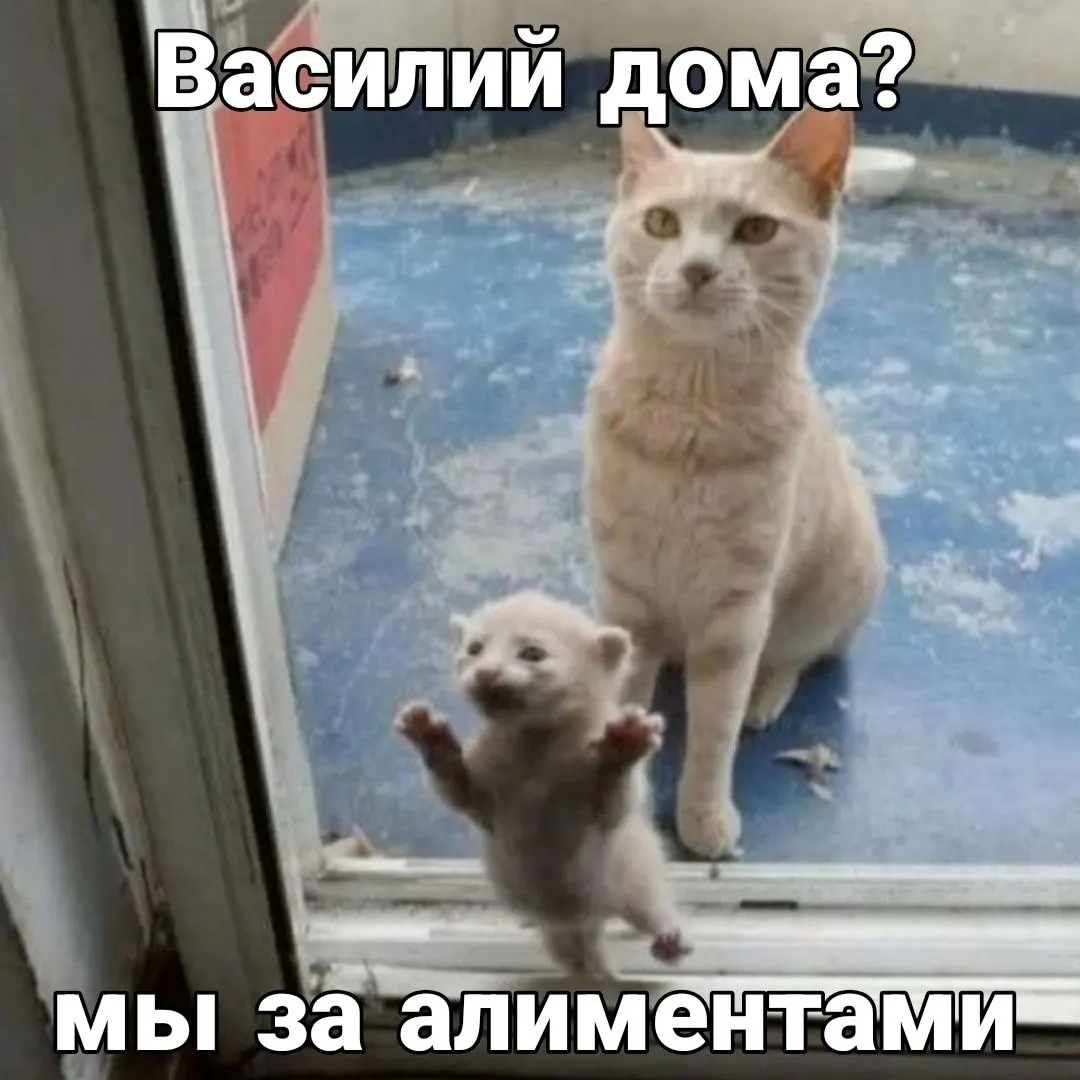 В&nbsp;Красноярске увеличивается количество должников по&nbsp;алиментам