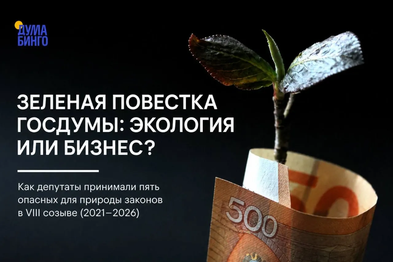 За последние пять лет в парламенте были приняты и продвинуты законопроекты и поправки, которые эксперты считают опасными для природы: от ограничения общественной экспертизы до сокращения охраняемых территорий.