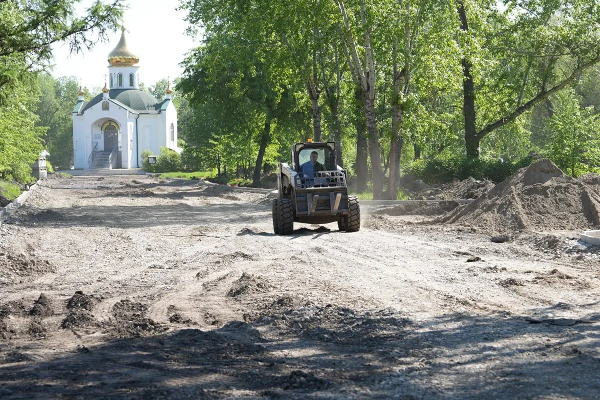 В&nbsp;Красноярске запретили вырубку здоровых деревьев при&nbsp;благоустройстве