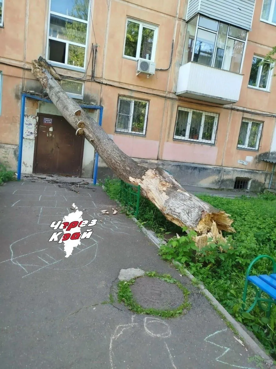 На улице Коммунальная дерево рухнуло на дом №4а и повредило козырёк третьего подъезда. Жители возмущены: по их словам, вырубают здоровые деревья, а опасные остаются.