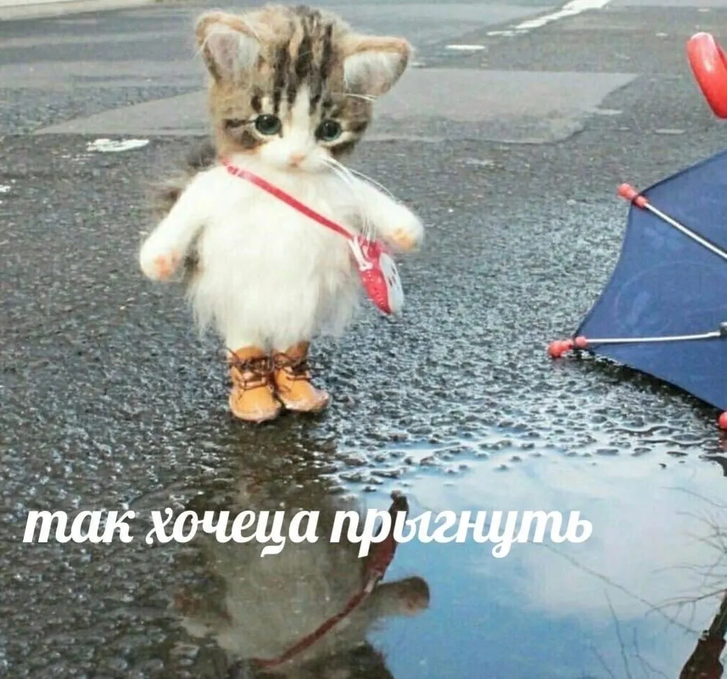 На выходных в городе прогнозируют кратковременные ливни и грозы — советуют взять с собой зонт.