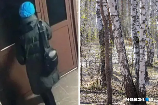 Тело обнаружено в овраге, где ранее велись поиски. Личность погибшей пока не установлена — окончательные выводы после экспертиз. По словам полиции, материалы переданы в Следственный комитет, комментариев от следствия пока нет.