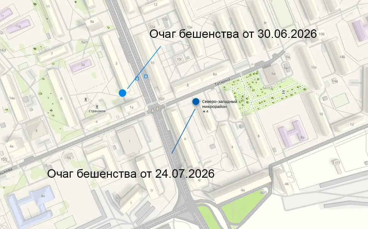 В Северо-Западном районе Красноярска ввели карантин по бешенству до 19 сентября: новый очаг на улице Карбышева находится в нескольких десятках метров от предыдущего, радиус ограничений увеличили до километра.