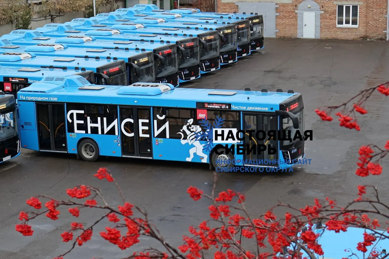 Правительство края внесло поправки в закон об административных правонарушениях: взрослым предлагают штрафы 2000–2500 ₽ (при повторе 4000–5000), детям — 1000–2000 ₽ (при повторе 2000–3000). Повышение связывают с переходом на бескондукторную систему оплаты.