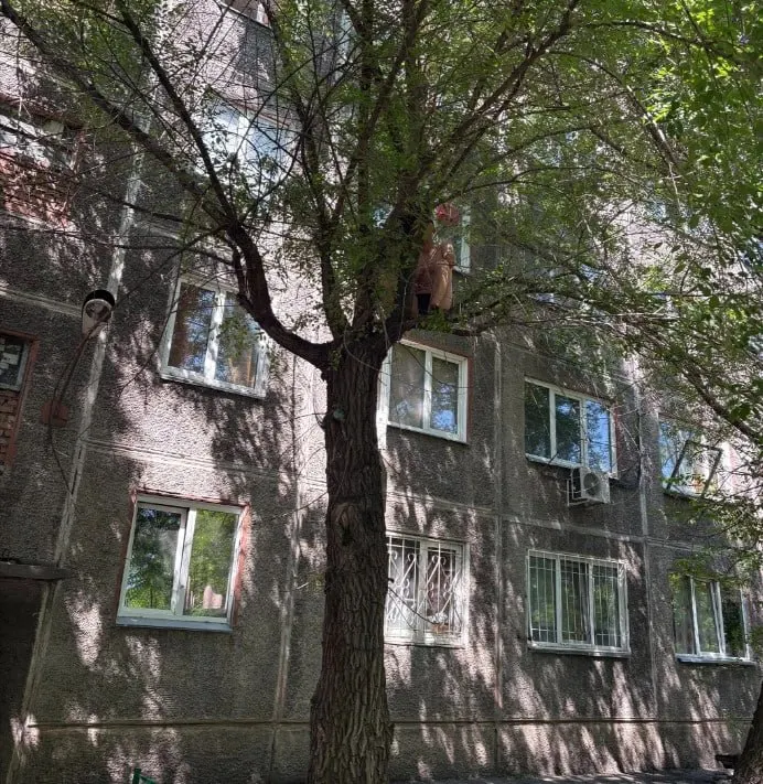 На улице Королева 38‑летний мужчина выпрыгнул из окна четвёртого этажа и застрял на дереве. Спасатели сняли его с помощью лестницы и передали медикам, причины происшествия проверяет полиция.