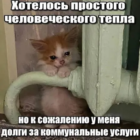 ВС подтвердил, что суммы по капитальному ремонту старше трёх лет нельзя принудительно взыскивать через платёжки — срок исковой давности по таким требованиям составляет три года.