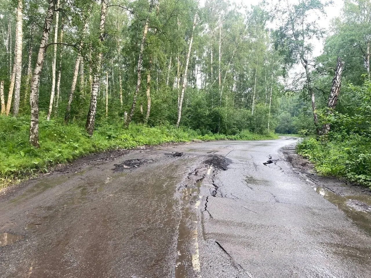 Вода, стекавшая по выкопанному в лесу рву, с весны подмывала дорогу — после сильных дождей покрытие пошло трещинами и начало проваливаться. Власти проведут обследование и временно убирают асфальт, подсыпая разрушенные участки.