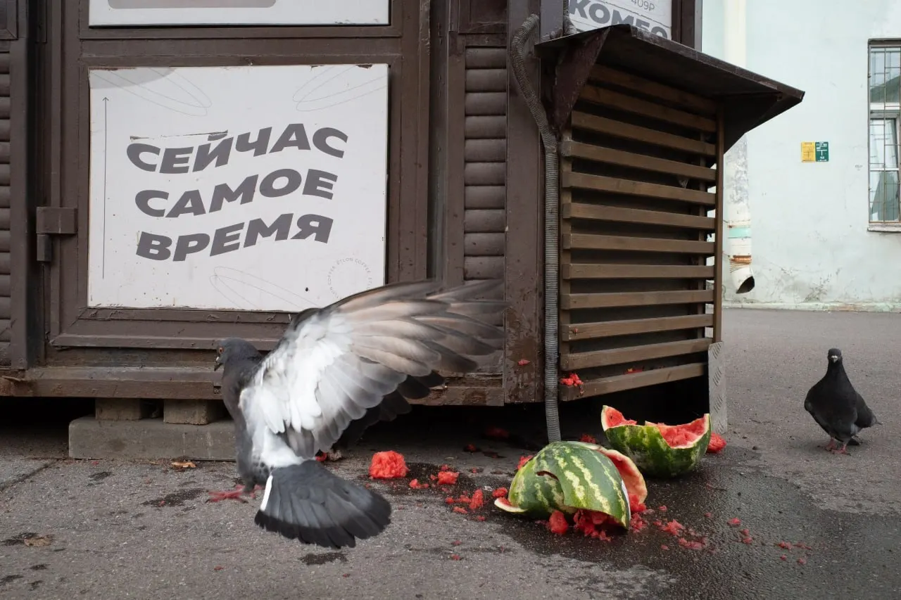 В Невском районе Петербурга заочно оштрафовали священника за антивоенное высказывание; в День памяти прошли богослужения, а в стране — кадровые перестановки в Минобороны и выборы.