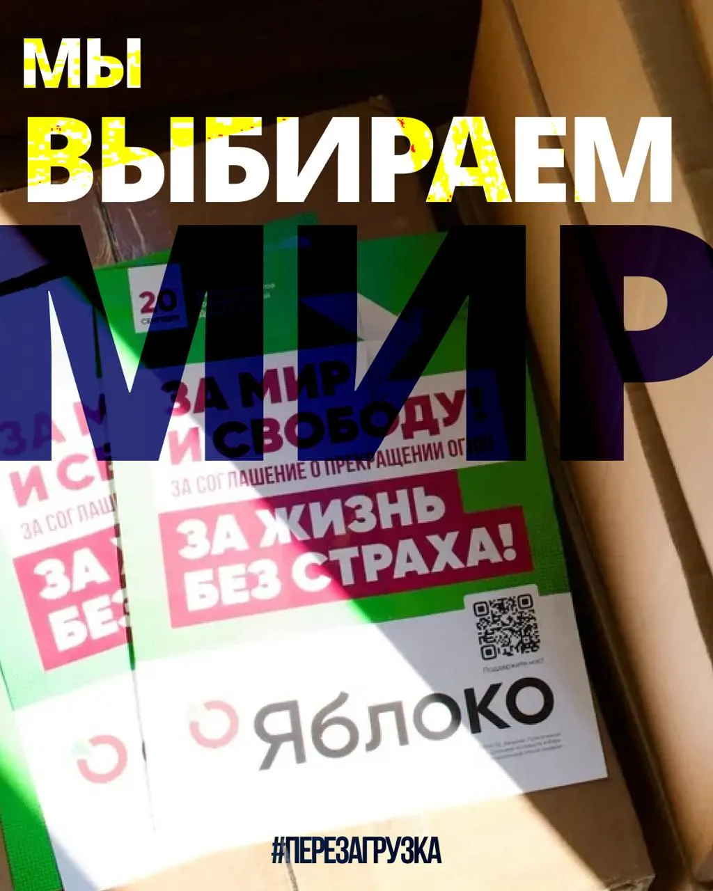 В 53 регионах продолжается кампания 135 кандидатов; подана апелляция в Верховный суд; поддержка растет, а граждане за границей выражают солидарность.