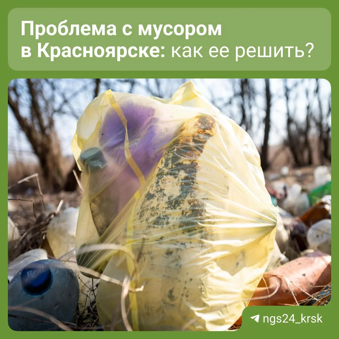 Депутат предложил автоматический перерасчет платы за неоказанную услугу вывоза мусора и меры по контролю за вывозом отходов, в том числе установка камер на проблемных участках.