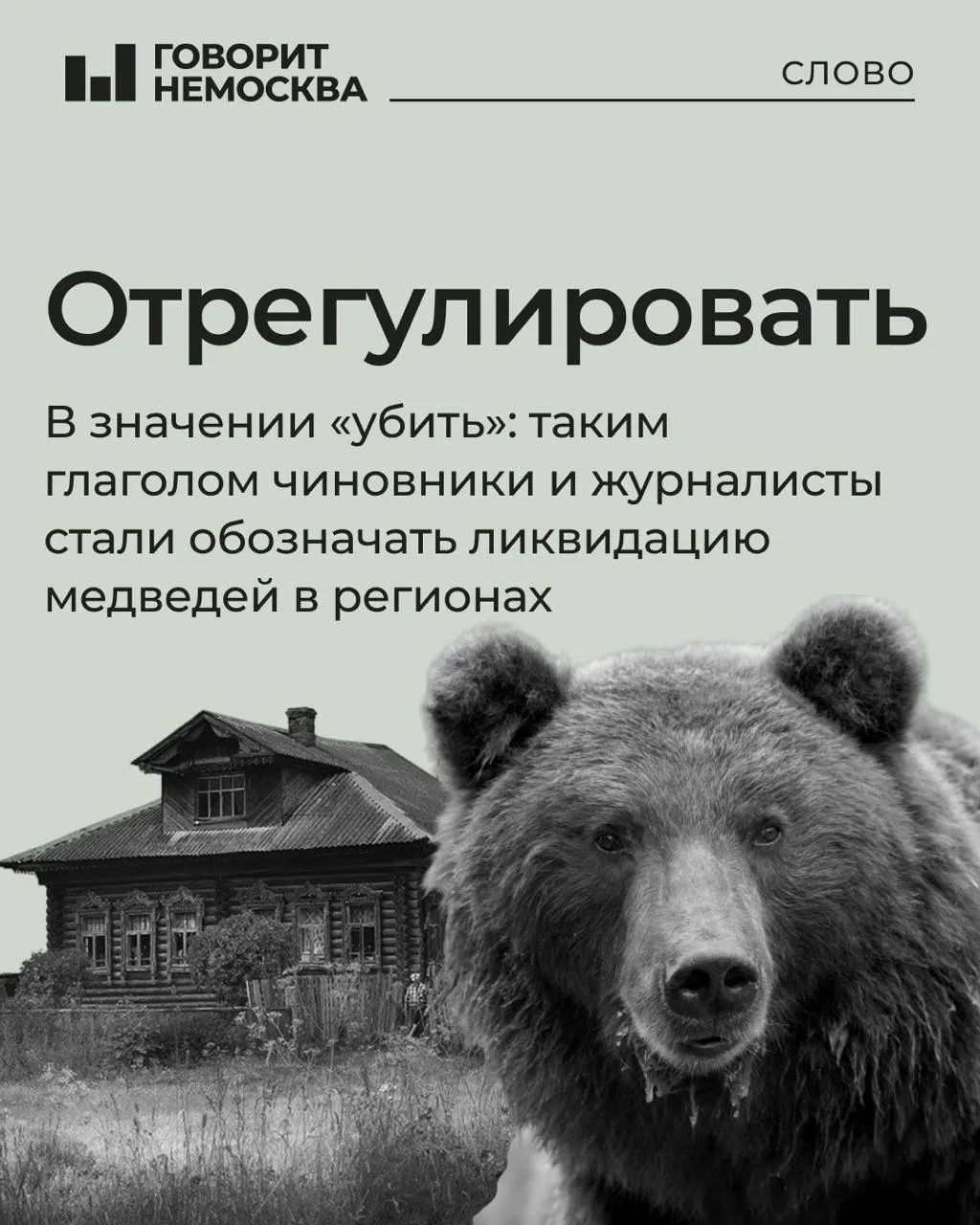 Обзор дискуссий вокруг регулирования популяции медведей и изменений правил учёта по регионам страны.