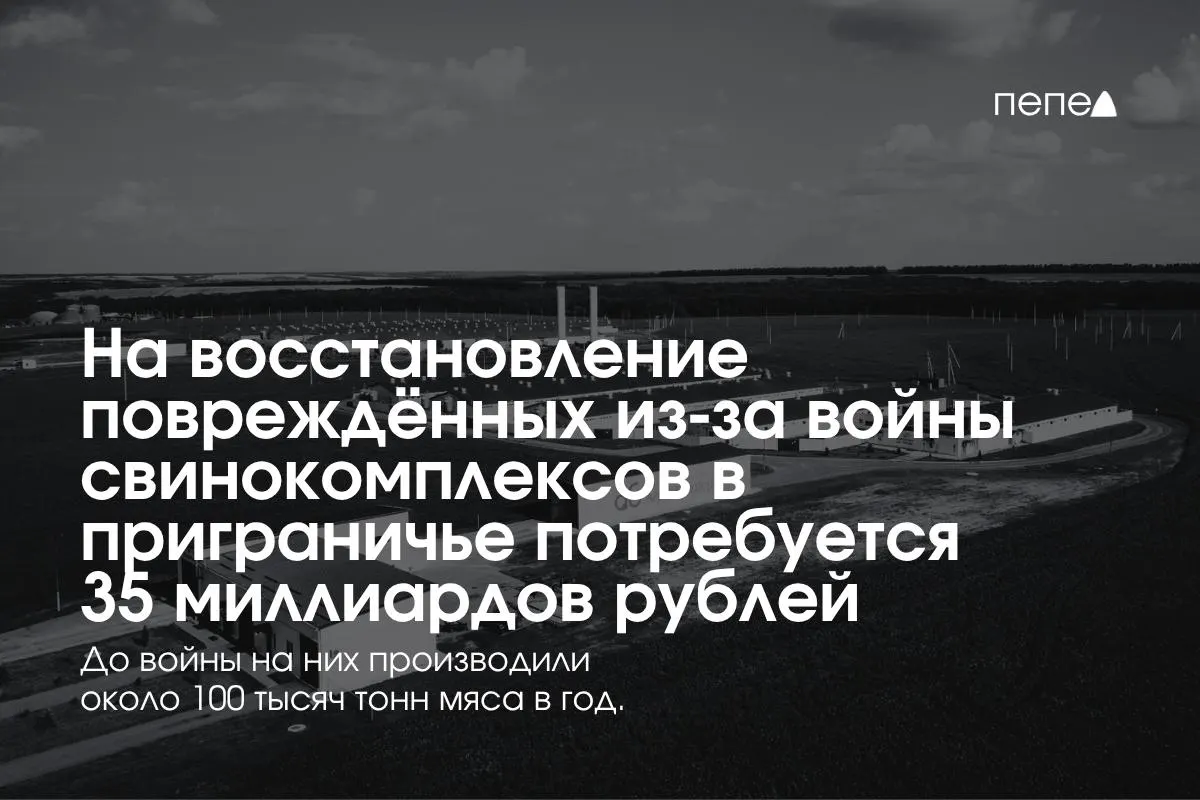 Расходы на восстановление свинокомплексов в приграничных регионах оцениваются в 35 млрд рублей вследствие обстрелов и атак беспилотников.