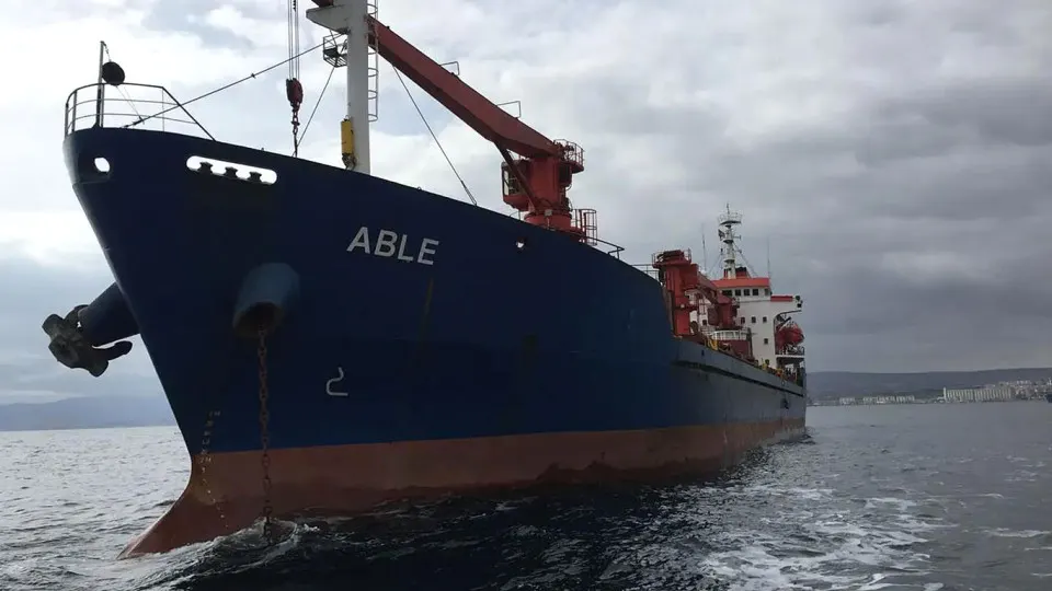 В болгарской части Черного моря два торговых судна подверглись атаке беспилотников; одно затонуло, экипаж продолжает поиск. На борту находились 11 моряков.