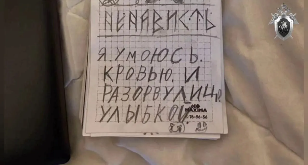 Суд вынес приговор участникам экстремистского сообщества, созданного подростками из Красноярска и Железногорска весной 2024 года; большинство обвиняемых тогда были 16–17 лет.