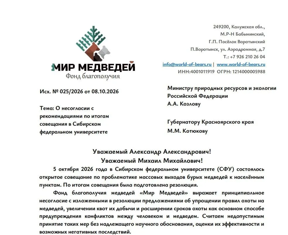 Зоозащитники обратились к губернатору Красноярского края и руководству Минприроды России с призывом не поддерживать предложения по упрощению охоты на бурых медведей и предложить альтернативы.